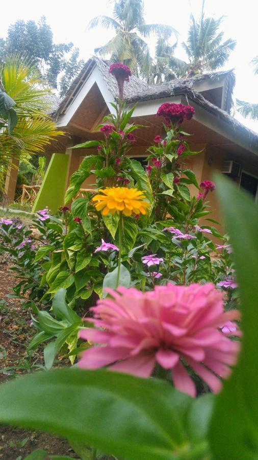 Miki'S Guest House Siquijor Exterior foto